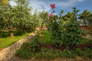 a garden with a rose bush in a yard at Apartments Hortensia in Pula