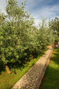 a row of apple trees on a stone path at Apartments Hortensia in Pula