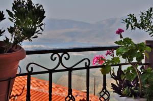 Fotografija v galeriji nastanitve Iniohos Hotel v mestu Delfoi