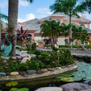 a garden with a pond in front of a pink building at Villa Dora Mae in Ocho Rios