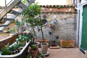 Ogród w obiekcie Il Giardino Roccioso