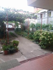 Gallery image of Julija Guest House in Ohrid