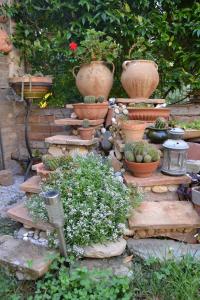 Ogród w obiekcie Il Giardino Roccioso