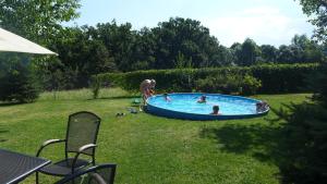 a group of people in a pool in a yard at Penzion Fousek in Zvíkovské Podhradí