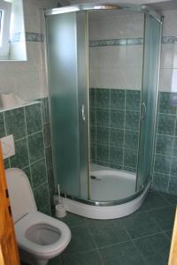 Un baño con inodoro y ducha de cristal. en Dolinka Holiday Home, en Levoča
