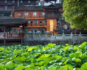 永顺372静静家的一座建筑物旁边一个池塘,池塘里布满了绿意盎然的植被