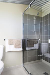 a bathroom with a glass shower with a toilet at Ridgemill Estate in Stanthorpe