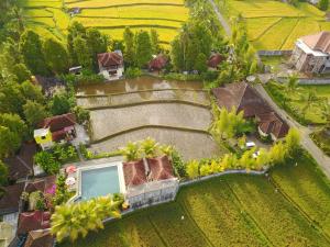 an aerial view of a house in a field at Atres Villa in Munduk