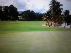 Golf v prázdninového domu nebo okolí