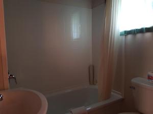 Bany a Flamingo Motel