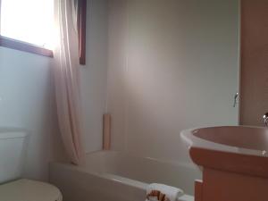 Bany a Flamingo Motel