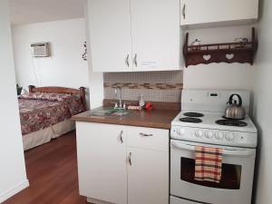 Cuina o zona de cuina de Flamingo Motel