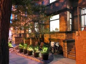 a row of potted plants in front of a building at HighRoad Washington DC in Washington, D.C.