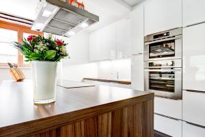 Kuchyň nebo kuchyňský kout v ubytování Gartenferienwohnung Ski In by A-Appartments + 34 fotografií