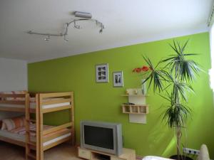 ルストにあるFerienwohnung Kochの緑豊かな客室で、二段ベッド1組、テレビが備わります。