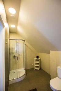 een badkamer met een douche en een toilet bij Haapsalu Old Town Apartments in Haapsalu