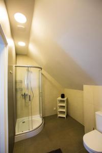 a bathroom with a shower and a toilet at Haapsalu Old Town Apartments in Haapsalu