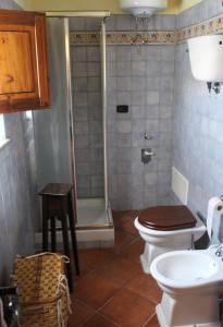 a bathroom with a shower and a toilet and a sink at Casetta ai Malvitani in Cetraro