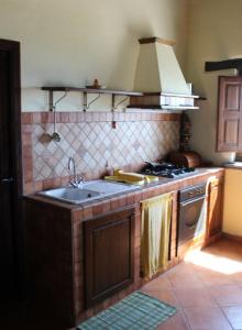 una cucina con lavandino e piano cottura di Casetta ai Malvitani a Cetraro