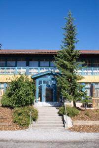 a building with a pine tree in front of it at Appartementhaus Wetterloch in Lermoos