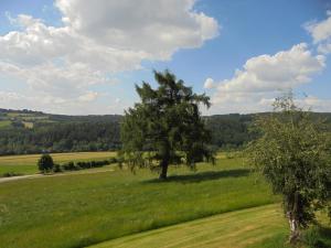 un campo verde con un árbol y una carretera en Ferienhaus Bauer mit wunderschönem Panoramablick, en Tännesberg