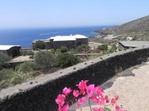 a retaining wall with pink flowers in front of a building at Dammuso U Granatu in Pantelleria