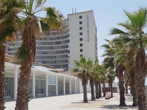 una fila de palmeras frente a un edificio en Apartment Ben Gurion, en Bat Yam