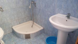 a bathroom with a sink and a toilet at Guesthouse Ada in Bar