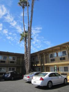 dos palmeras en un estacionamiento frente a un edificio en Civic Center Lodge / Lake Merritt BART, en Oakland