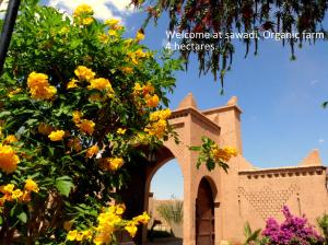 a gate to a church with yellow flowers at Sawadi Ecolodge in Skoura
