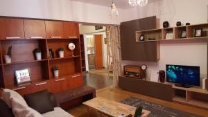 a living room with a couch and a tv at Sunny Old Town Apartments in Bucharest