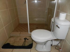 a bathroom with a white toilet and a shower at Impalas Walk in Marloth Park +11 photos