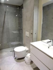 a bathroom with a toilet and a shower and a sink at Apartment residence Arc en Ciel in Théoule-sur-Mer