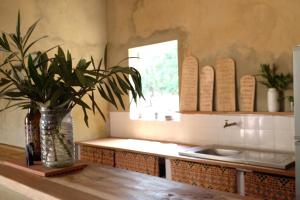 a vase with a plant on a table in a kitchen at Centre Touristique et Culturel Casamance in Diakène Ouolof +80 photos