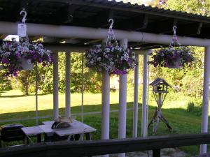 Zahrada ubytování Fredrika Hotell Jakt&Fiskecamp