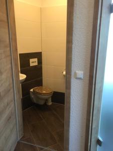 a bathroom with a toilet and a sink at Ferienwohnung Zeitler in Treuen