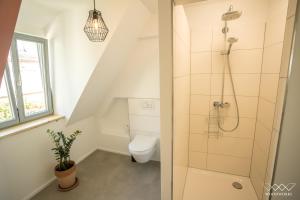 a bathroom with a shower and a toilet at TeigenHeim in Rüdesheim am Rhein +24 photos