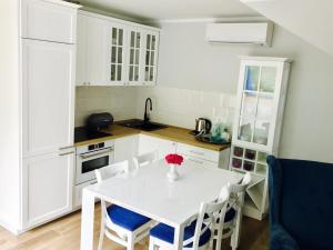 Kuchyň nebo kuchyňský kout v ubytování Apartamenty Platinum