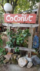 Certifikát, hodnocení, plakát nebo jiný dokument vystavený v ubytování the coconut langkawi