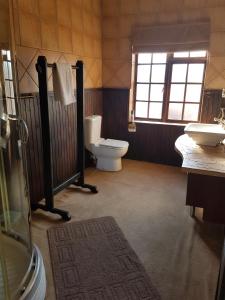 een badkamer met een toilet en een wastafel bij Izimbali Lodge and Restaurant in Ermelo
