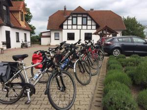 Cykling vid eller i närheten av Radler's Hof