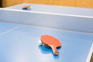 Tenis stołowy w obiekcie Hotel Pension Sonnleiten lub pobliżu