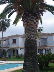 Fotografie z fotogalerie ubytování Ricky´s village El Patio v destinaci Denia