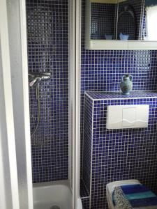 KamminkeにあるFerienhaus Hendrikjeの青いタイル張りのバスルーム(シャワー、トイレ付)