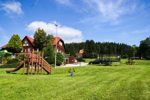 two children playing in a field with a playground at Penzion A+A in Pec pod Sněžkou