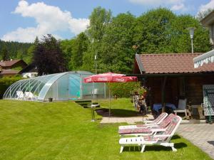 eine Gruppe von Gartenstühlen mit Sonnenschirm und Gewächshaus in der Unterkunft Ferienwohnungen König in Bischofsmais