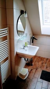 a bathroom with a sink and a mirror at Ferienwohnungen Dirk Laurisch in Radensdorf