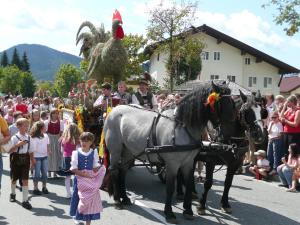 Galeriebild der Unterkunft Apartment Knablhof in Sankt Martin am Tennengebirge