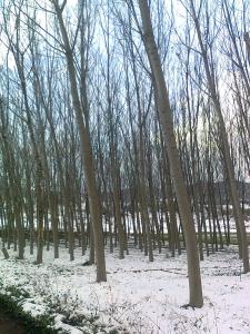 Valvanera 30 en invierno