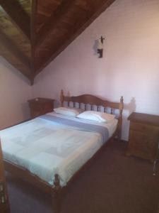聖卡洛斯－德巴里洛切的住宿－Universal Traveller's Hostel，一间卧室配有一张木架大床